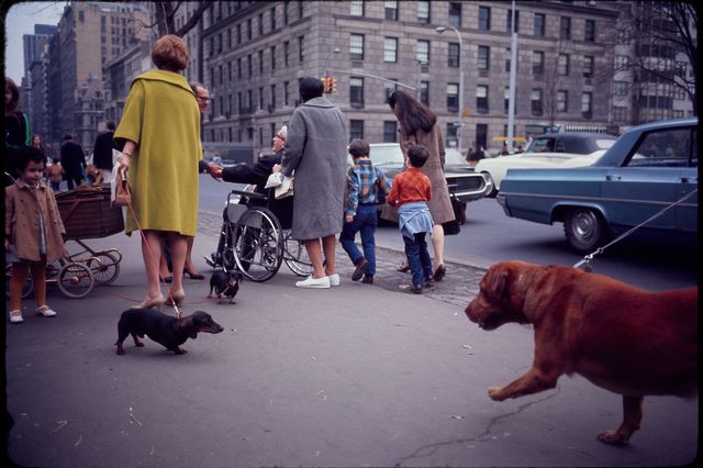 Garry Winogrand (American, 1928-1984). Untitled (New York), 1967. 35mm color slide. Collection of the Center for Creative Photography, The University ofArizona. The Estate of Garry Winogrand, courtesy Fraenkel Gallery, San Francisco<br/>